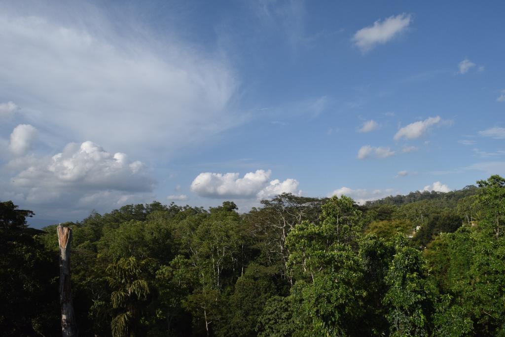 Bee View Home Stay Kandy Exterior photo